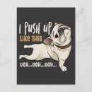 Recherche de chien pitbull cartes postales Animaux domestiques