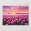 Recherche de dutch cartes postales Amsterdam