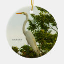 Recherche de oiseau ornements Faune
