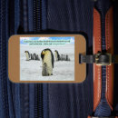 Recherche de pingouins accessoires Pour lui
