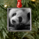 Recherche de chengdu maison deco Panda géant