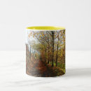 Recherche de voies tasses Piste
