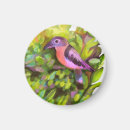 Recherche de oiseau exotique magnets Jungle