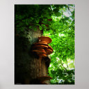 Recherche de congé posters Nature