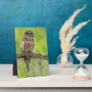 Recherche de hiboux plaques Faune