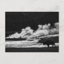 Recherche de vapeur cartes postales Faune