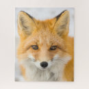 Recherche de renard puzzles Animal
