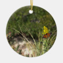 Recherche de jaune de fleur ornements Papillon