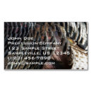 Recherche de gibier cartes visite Pour tous