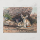 Recherche de fennec cartes postales Mammifère