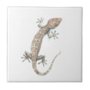 Recherche de gecko carreaux Illustration