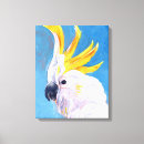 Recherche de oiseaux exotiques art Animaux sauvages