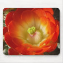 Recherche de fleur cactus tapis souris Orange