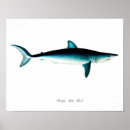 Recherche de requin art Pour enfants