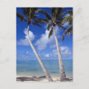 Recherche de îles cook cartes postales Paysage