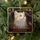 Recherche de le chat ornements Cats
