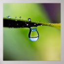 Recherche de macro posters Gouttes d'eau