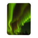 Recherche de alaska magnete Arbre