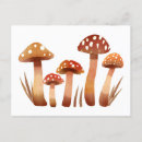 Recherche de champignons sauvages cartes postales Faune