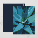 Recherche de agaves cartes postales Succulent