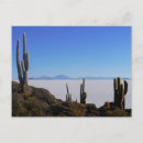 Recherche de uyuni cartes postales Salines