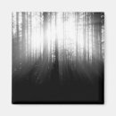 Recherche de rayon de soleil magnets Forêt