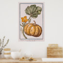 Recherche de veg posters Nourriture