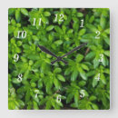 Recherche de vert mousse horloges Nature
