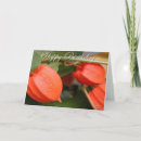 Recherche de lanterne photographie Jardin