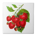 Recherche de fraises rouges carreaux Fleurs