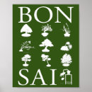 Recherche de bonsai art Plante