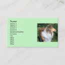 Recherche de colley cartes visite Dog