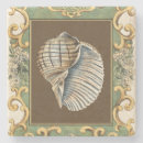 Recherche de coquilles dessous de verres Coquillage de sépia