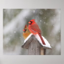 Recherche de cardinal du nord art Hiver