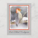 Recherche de oiseau rouge cartes postales Peinture