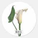 Recherche de calla lily autocollants Botanique