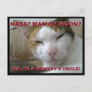 Recherche de ringard cartes postales Chat