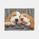 Recherche de somnolent photographie Chiots