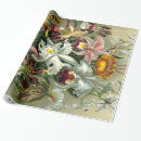 Recherche de haeckel papier cadeau Vintage