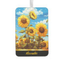 Recherche de nuages voiture accessoires Nature