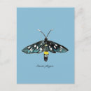 Recherche de entomologie cartes postales Entomologiste