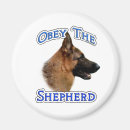 Recherche de berg magnete Gsd