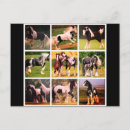 Recherche de cheval cartes postales Image