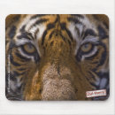 Recherche de yeux tigre tapis souris Faune