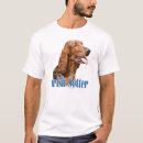 Recherche de poseur irlandais Animaux