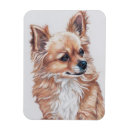 Recherche de longs cheveux magnets Chien