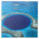 Recherche de belize carreaux Bleu