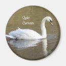 Recherche de relaxation magnets Nature