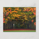 Recherche de marque pages cartes postales Nature