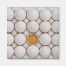 Recherche de nourriture et boisson magnets Oeuf
